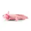 Rappa Plyšový axolotl 34 cm / ECO-FRIENDLY / od 0 mesiacov