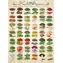 EUROGRAPHICS Puzzle Bylinky a korenie / 1000 dielikov / 68 x 49 cm