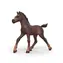 Schleich Horse Club Zberateľské žriebä Ravi / od 4 rokov