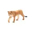 Mojo Animal Planet Levice / od 3 rokov