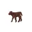 Mojo Animal Planet Highland teľa / od 3 rokov