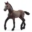 Schleich Horse Club 13954 Žriebä plemena peruánsky paso / od 5 rokov