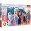 Trefl - Puzzle - Ľadové kráľovstvo 2: Magická cesta MAXI / 24 dielikov / 60 x 40 cm / vek 3+