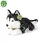 Rappa Plyšový pes Husky 36 cm / ECO-FRIENDLY / od 0 mesiacov