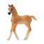 Schleich Horse Club 13984 Arabské žriebä / od 3 rokov