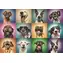 Trefl - Puzzle - Veselé psie portréty / 1000 dielikov / 68.3 x 48 cm / vek 12+