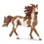 Schleich Farm WORLD 13794 Žrebec pinto / od 3 rokov