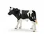 Schleich Farm WORLD 13798 Tele čiernostraké / od 3 rokov