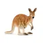 Schleich Wild Life 14756 Kengura / od 3 rokov