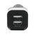 TechniSat CarCharger Dual USB CE