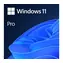 Microsoft Windows 11 Pre EN 64-bit (OEM) / Operačný systém / DVD pre 64-bit / angličtina / pre 1 PC neprenositeľná