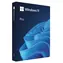 Microsoft Windows 11 Pre CZ 64-bit (FPP) / Operačný systém / USB disk pre 64-bit / slovenčina / pre 1 PC prenositeľná