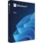 MS Windows 11 Professional FPP 64-bit Eng Intl / Operačný systém / USB disk pre 64-bit / angličtina