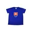 SPORTTEAM Fanúšikovské tričko SPORTTEAM® Slovenská Republika 5 pánske veľ. M