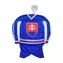 SPORTTEAM Minidres HOKEJ SR 2