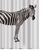Spirella ZEBRA sprchový záves 180 x 200 cm bielo-čierny / polyester
