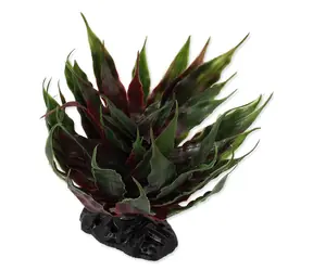 Repti Planet Rastlina sukulent Agave zelená 18cm
