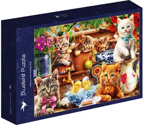 BlueBird Puzzle Mačiatka v kôlni