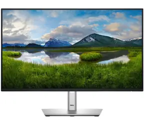 23.8" DELL P2425HE Professional strieborná