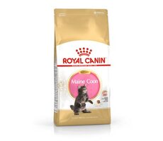 Royal Canin Breed Feline Kitten Maine Coon 10kg