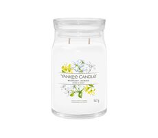 Yankee Candle Signature Midnight Jasmine veľký pohár 567g