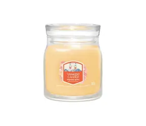 Yankee Candle SLOPESIDE SPRITZ Signature stredná