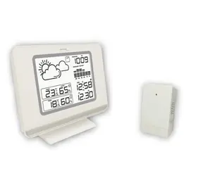 TechnoLine WS 7019