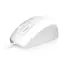 Keysonic Waterproof Mouse biela / Myš / USB / silikónová / vodotesná