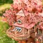 Robotime Domček na strome Sakura / 3D drevená skladačka / 535 dielikov / drevo / obtiažnosť vysoká / od 14 rokov