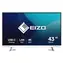 42.5" Eizo EV4340X-WT biela / Monitor / IPS / 4K UHD / USB-C / KVM / Repro