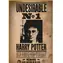 THUMBS UP! Puzzle Harry Potter Wanted No.1 / 50 dielikov / pre dospelých aj deti