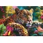 Cherry PAZZI Puzzle Ležiaci leopard / 500 dielikov / 50 x 34,5 cm