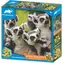 Prime 3D Puzzle Animal Planet: Lemur KATA / 150 dielikov / 3D efekt