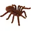 KIK Tarantula na diaľkové ovládanie / Hračka na diaľkové ovládanie / od 8 rokov