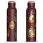 PYRAMID Fľaša na pitie Harry Potter Slim / Nerezová / 550 ml