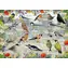 GIBSONS Puzzle RSPB: Šťastní vtáčiky / 1000 dielikov