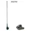Calearo AM/FM predná anténa Fiat, Peugeot / Anténa / pasívna / bez zvodu / 41 cm