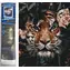 Norimpex Diamantové maľovanie Ukrytý tiger / 30x40 cm
