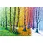MAGNOLIA Puzzle Vlákna života / 1000 dielikov / 68 x 48 cm