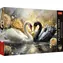 Trefl Puzzle Premium PLUS Krásne Labute / 1000 dielikov / 68,3 x 48 cm