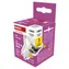 Emos Classic MR16 / LED žiarovka / GU10 / 4,2 W (náhrada 35W) / 333lm / 4000K neutrálna biela