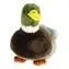 TEDDIES Plyšový káčer divoká kačica 18 cm / Plnený guličkami / od 0 mesiacov