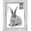 Zep Doneck B AZ168 / Rámček / Živica / 15x20 cm