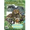 JIRI MODELS Omaľovánka Dinosaury / A5 / 9 čiernobielych + 9 farebných obrázkov