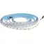 Greenlux DAISY / LED pásik / 60 LED/m / RGB / 10 W/m / IP65 / 5 m