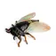 Rappa Figúrka Cikada 6 cm / Hmyz / Plast
