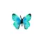 ZOOTED Figúrka Motýľ Morpho Helena / Plast / 7 cm / od 3 rokov
