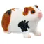 BULLYLAND 64613 Figúrka Morča / Plast / 2,7 cm