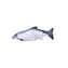 animALL Hračka Dancing fish č.1