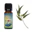 Airbi Esenciálny olej EUKALYPTUS 10 ml